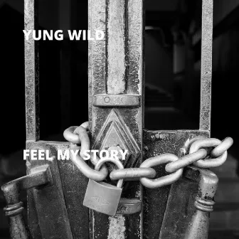 Feel My Story by Yung Wild