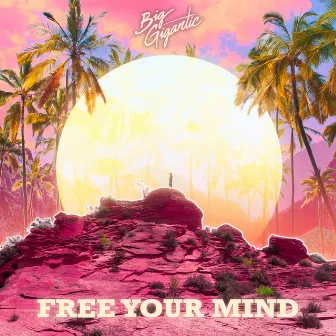 Free Your Mind by Big Gigantic