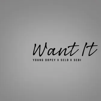 Want It by Sebi