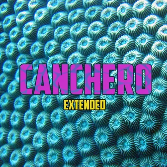 Canchero (Extended) by Saavedra Funk