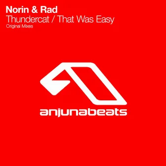 Thundercat / That Was Easy by Norin & Rad