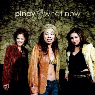 What Now by Pinay