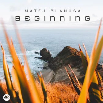 Beginning by Matej Blanusa