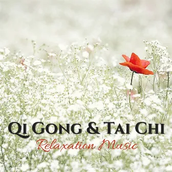 Qi Gong & Tai Chi Relaxation Music - Raise Vitality Levels and Relax Deeply with Instrumental Music by Tai Chi Stars