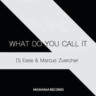 What Do You Call It by Marcus Zuercher