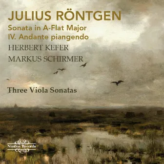 Röntgen: Sonata in A-Flat Major: IV. Andante piangendo by Herbert Kefer