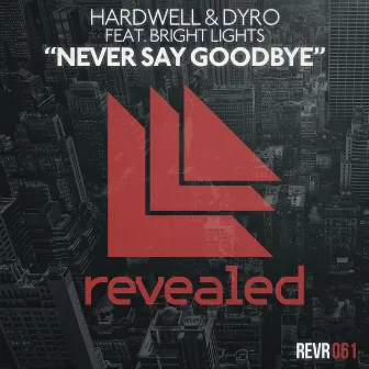 Never Say Goodbye by Dyro