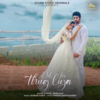 Dil Ko Thug Liya by Shabab Sabri