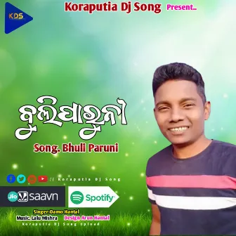 Bhuli Paruni Dhemssa (Koraputia Dhemssa Song) by Damo Hantal