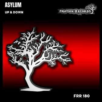 Up & Down by Asylum