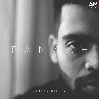 Panaah by Hrishi Giridhar