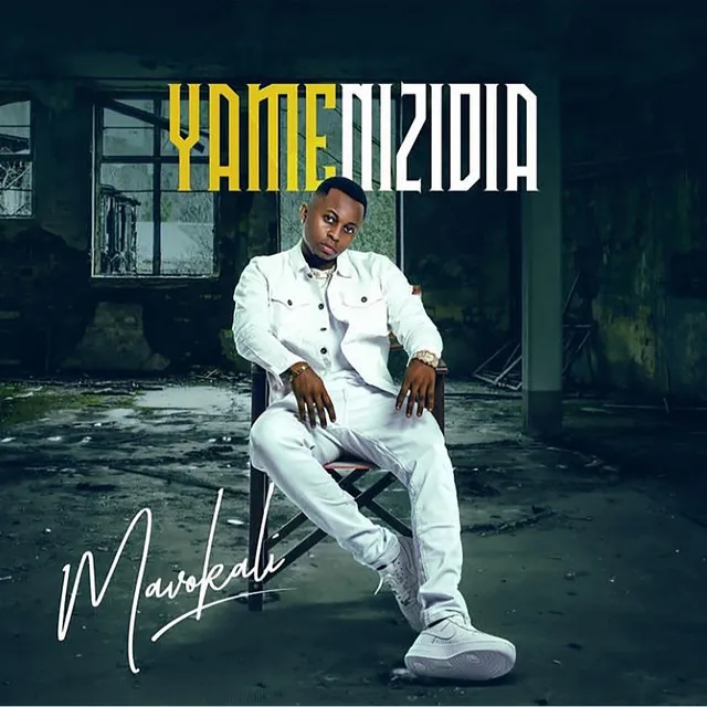 Yamenizidia