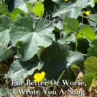 For Better Or Worse, I Wrote You A Song by Unknown Artist