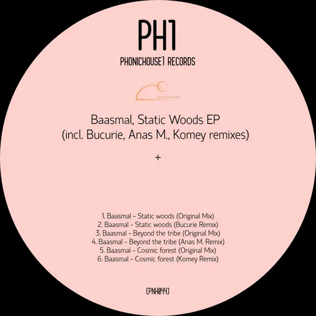 Static Woods - Bucurie remix