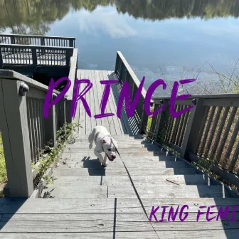 Prince by King Femi