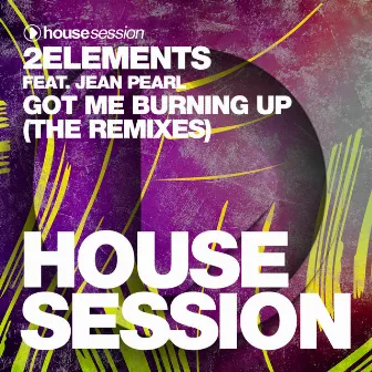 Got Me Burning Up (The Remixes) by 2Elements