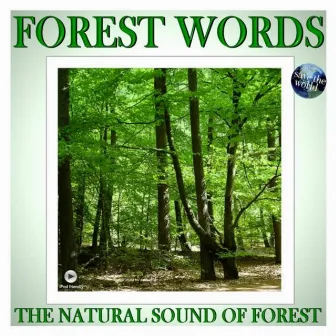 The Natural Sound Of Forest by Forest Words