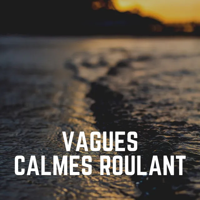 Vagues Calmes Roulant