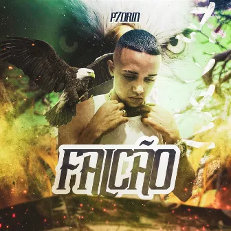 Falcão by P7drin