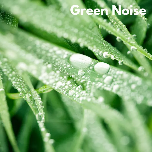 Rain & Green Noise - Loopable, No Fade