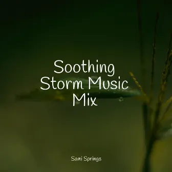 Soothing Storm Music Mix by Study Zone