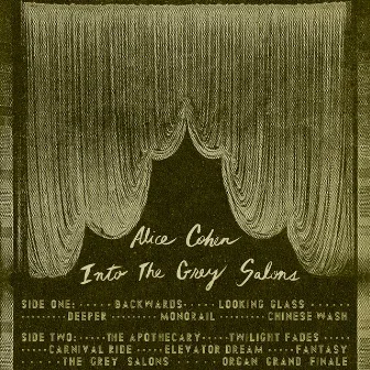 Into the Grey Salons by Alice Cohen