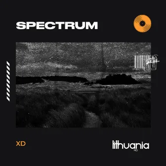 Spectrum (Say My Name) by Xd