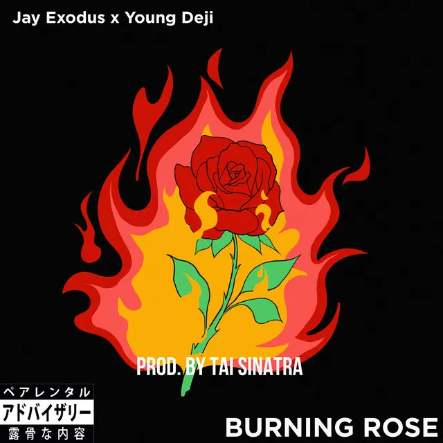 Burning Rose