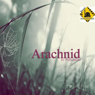 Arachnid by Pullsometro