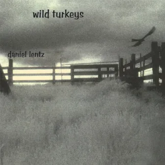 Wild Turkeys by Daniel Lentz