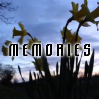 Memories by TML