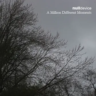 A Million Different Moments by Null Device