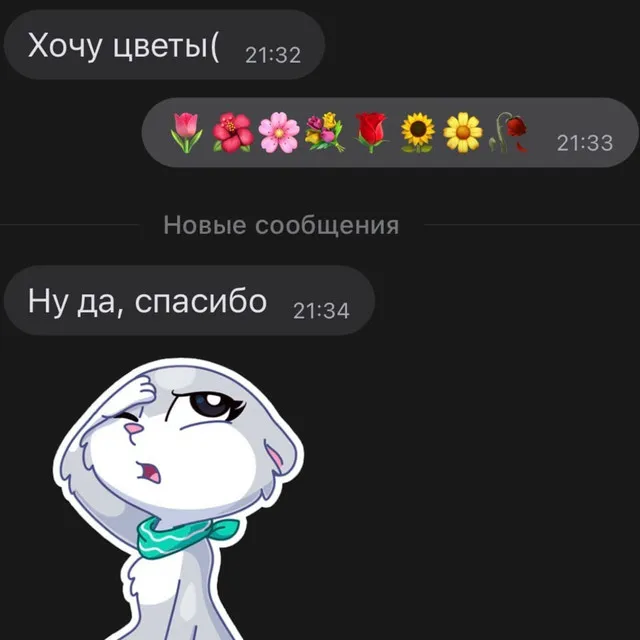 Я подарил тебе цветы