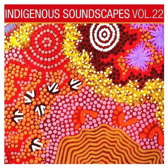 Indigenous Soundscapes, Vol. 22 by David Hudson