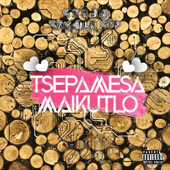 Tsepamesa Maikutlo by S T E B U