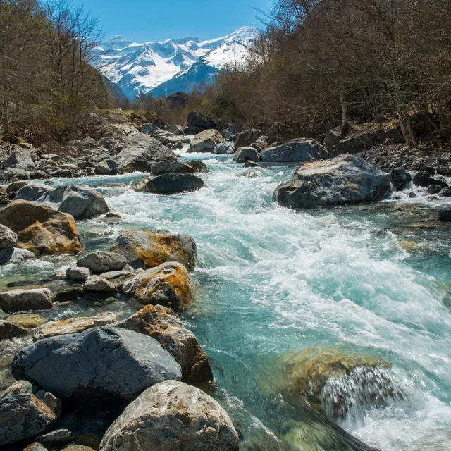 Streamside Relaxation Sound Journey