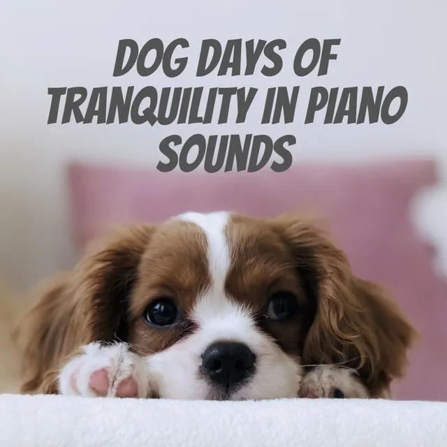 Dog Days of Tranquility in Piano Sounds