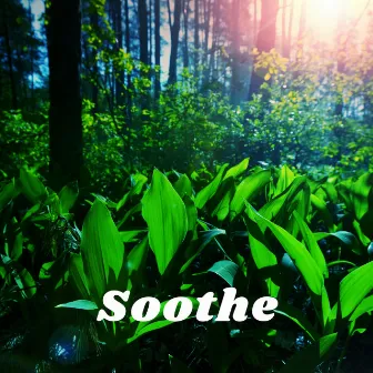 Soothe by Spiritual Flower