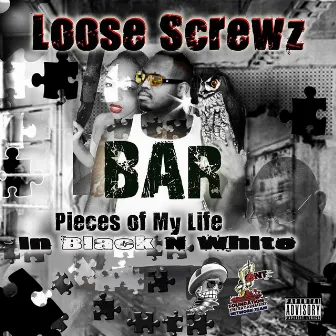 Bar by Loose Screwz