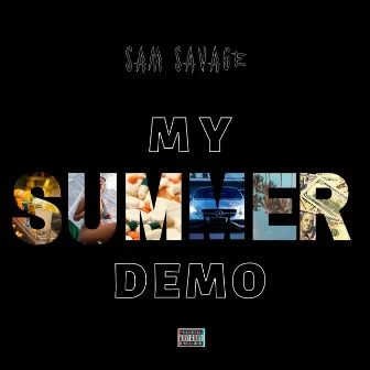 MY SUMMER DEMO by Sam Savage