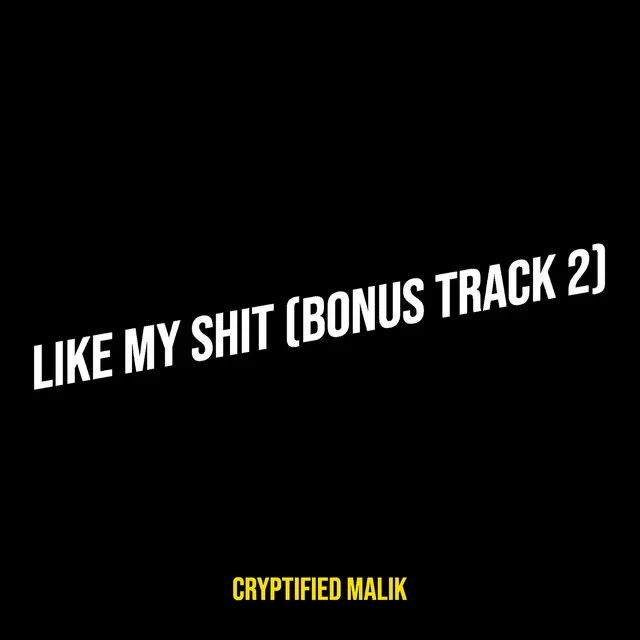 Like My Shit (Bonus Track 2)