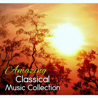 Amazing Classical Music Collection – Relax with Chopin Music by Cyprian Nimka