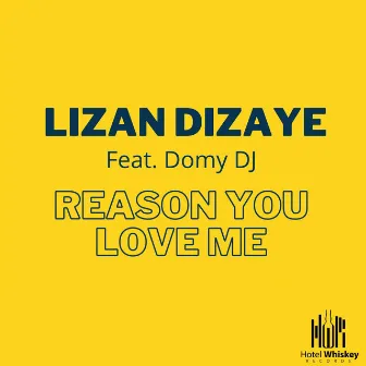 Reason You Love Me by Lizan Dizaye