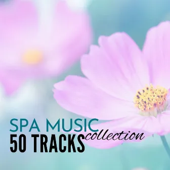 Spa Music Collection: 50 Tracks of Soothing Sounds of Nature for Wellness Centers and Hotel Lounge by Amelia System