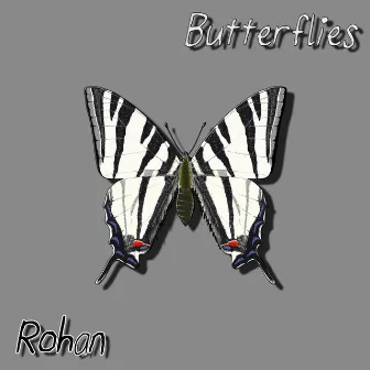 Butterflies by Rohan