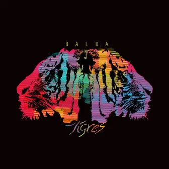 Tigres by Balda