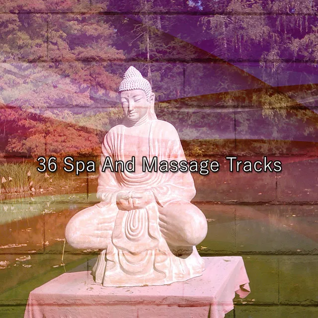 36 Spa And Massage Tracks