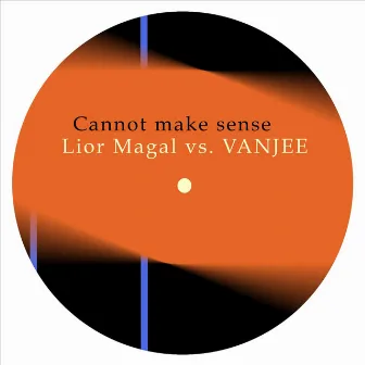 Cannot Make Sense by Vanjee