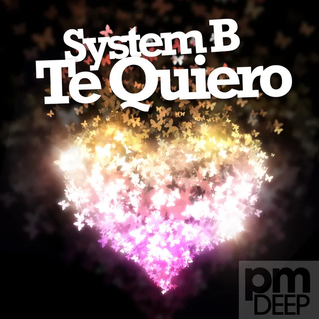 Te Quiero - Benani Omar Remix