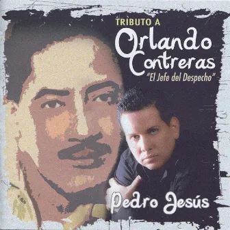 Tributo A Orlando Conteras - El Jefe del Despecho by Pedro Jesus